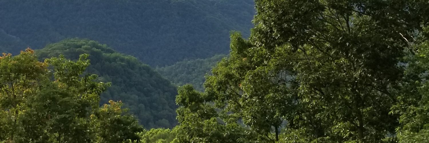 cdbaird's profile banner image