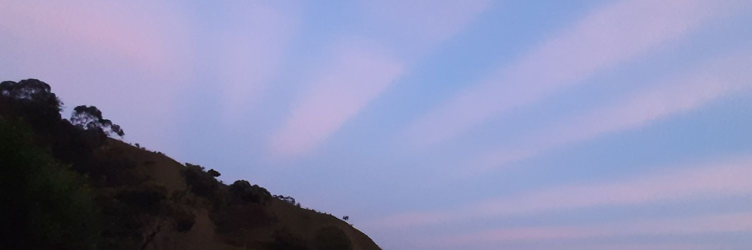 hapg81's profile banner image