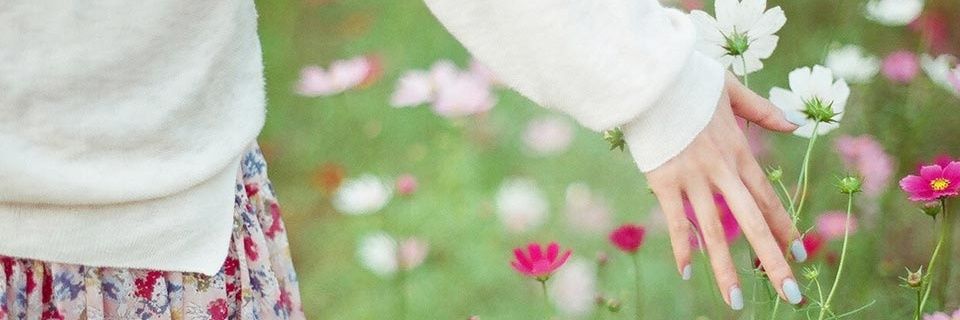 Ttamarom's profile banner image