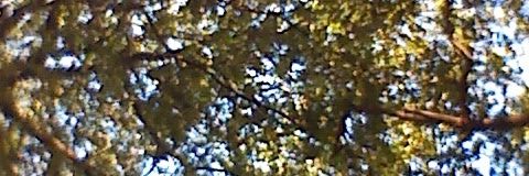 editthdelgado's profile banner image