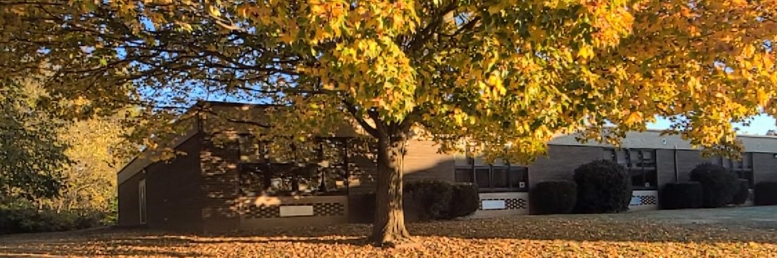 MadisonElem's profile banner image