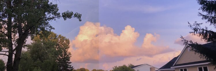 sofya_gentile's profile banner image