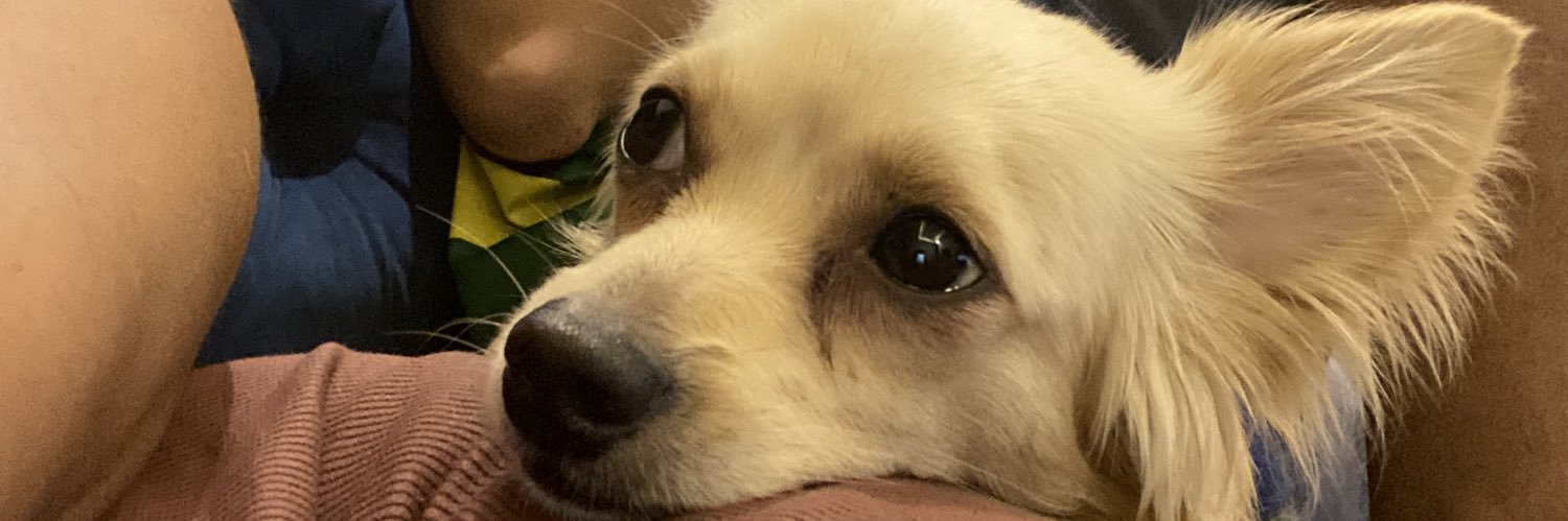 souzavanice2's profile banner image