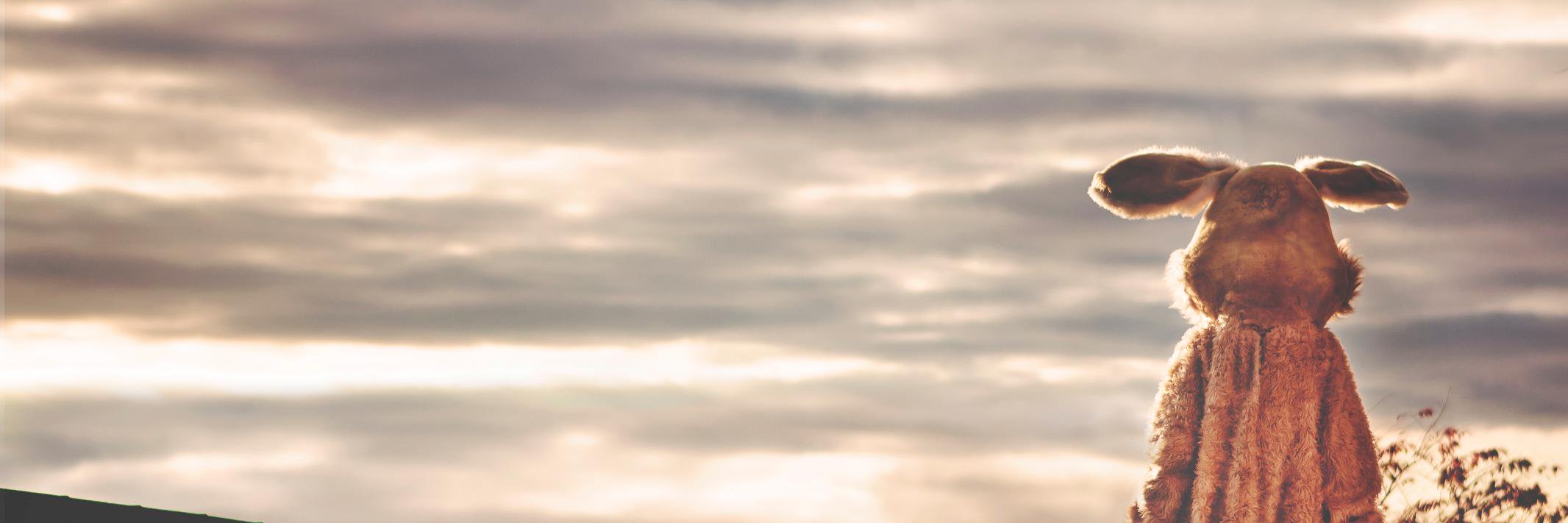 achonacho's profile banner image