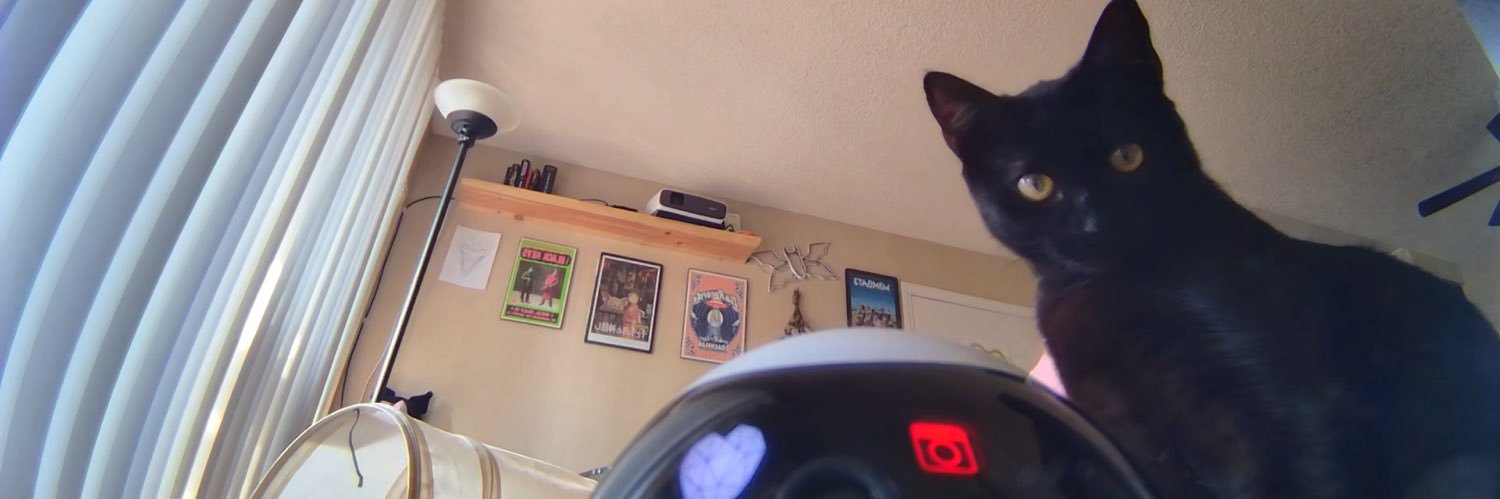 StayDangerous's profile banner image
