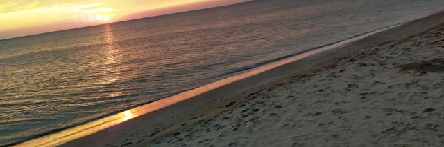 StockOptTrader's profile banner image