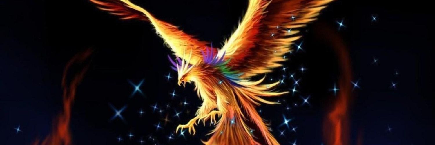 Brian_Potsi's profile banner image