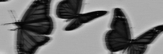 caroliveiraca's profile banner image