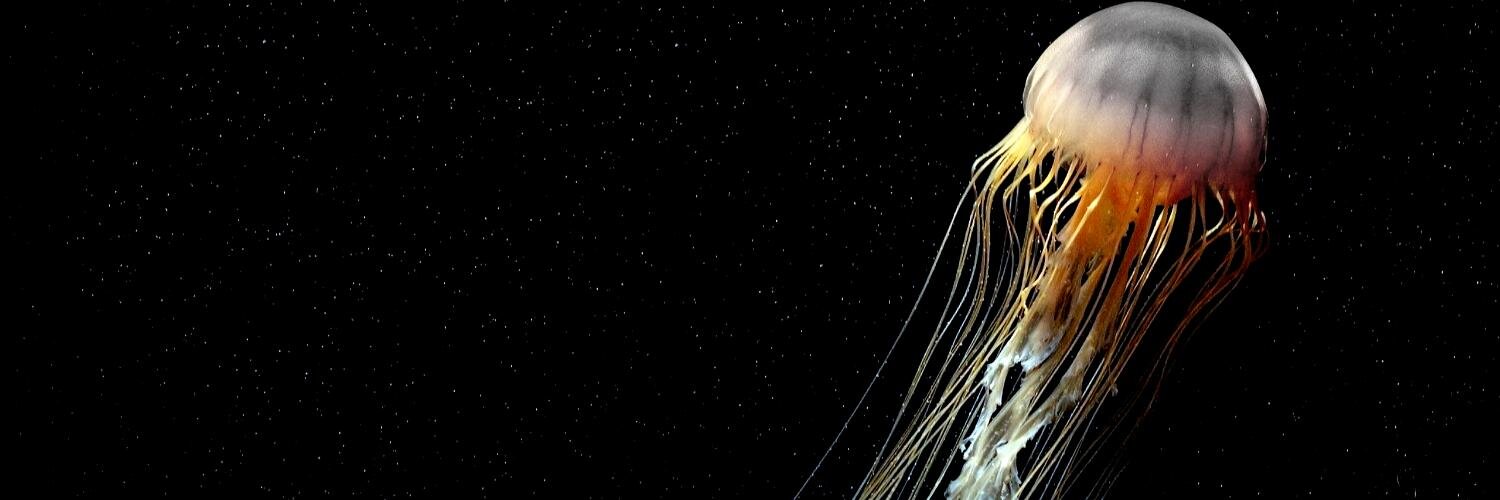 2korzhik's profile banner image