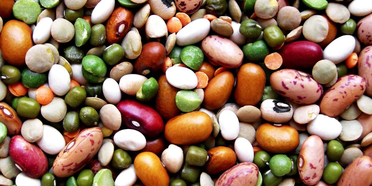 beetsandbeans's profile banner image