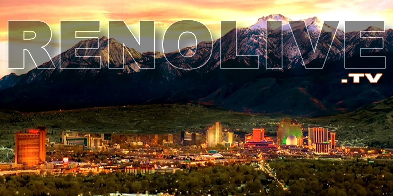 RENOLIVE1's profile banner image