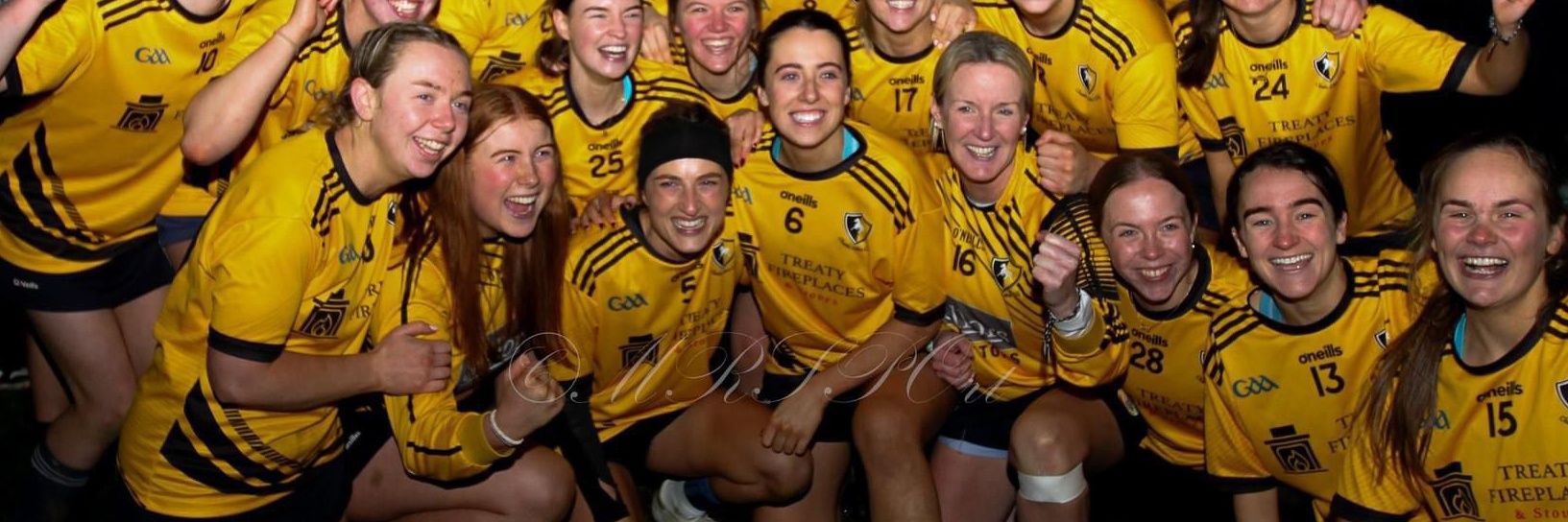 Horganator2000's profile banner image