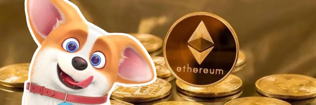 FEDOGETH's profile banner image
