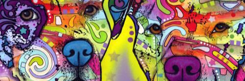 Paws4Delight's profile banner image