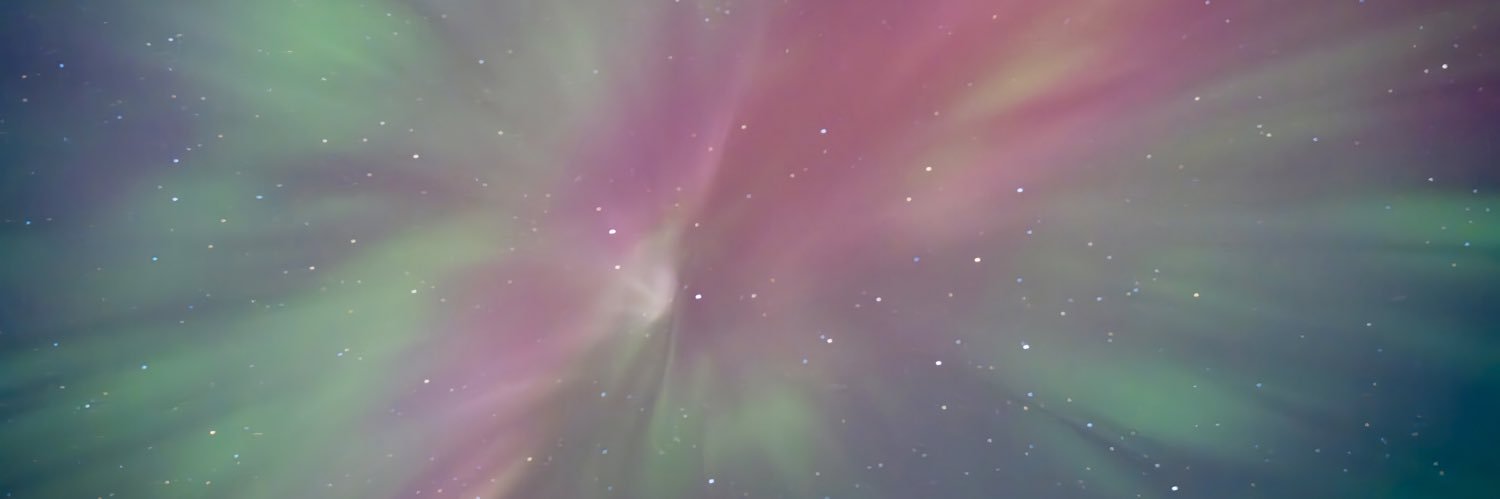 Brenda Daniels 🌻 banner