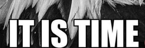 Vikkijos's profile banner image