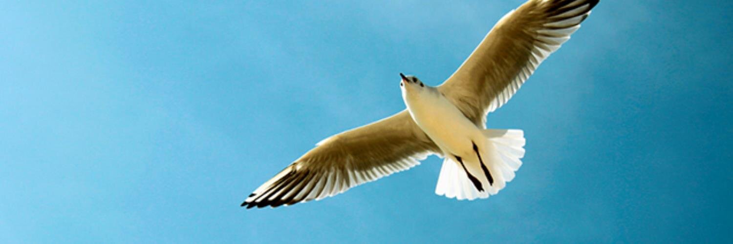 Praxis Framework banner