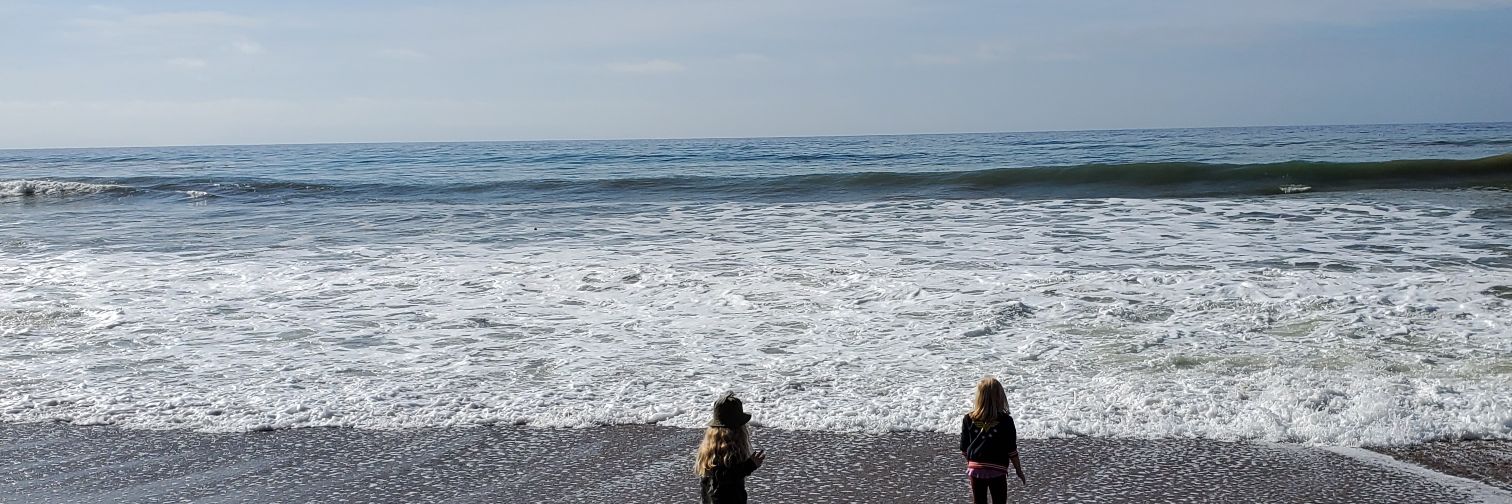 Sarah Brantner banner