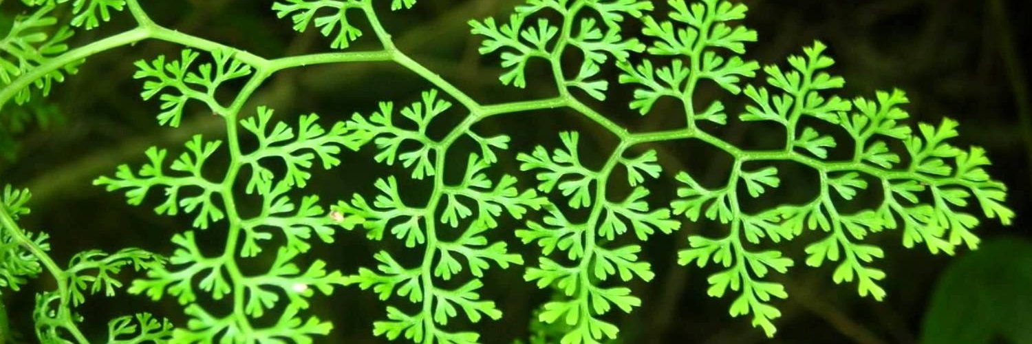 JonBellish's profile banner image