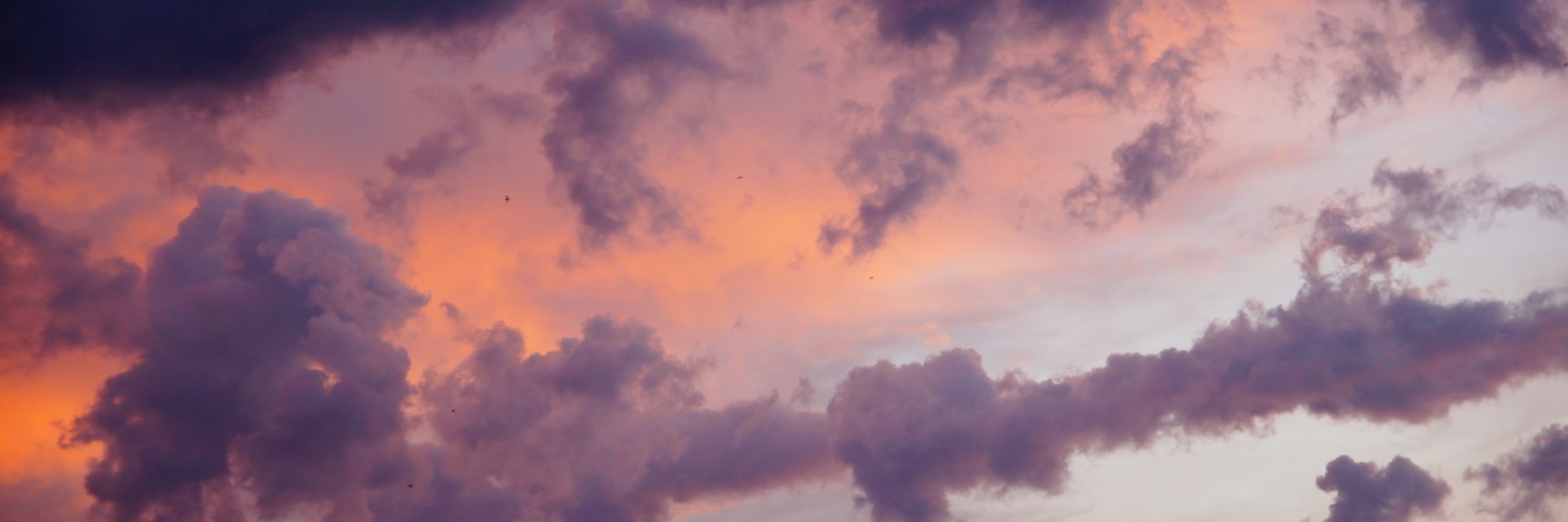 Stolbunichka's profile banner image