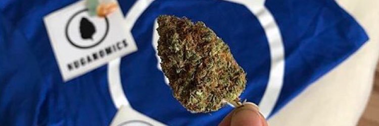 Nuganomics's profile banner image