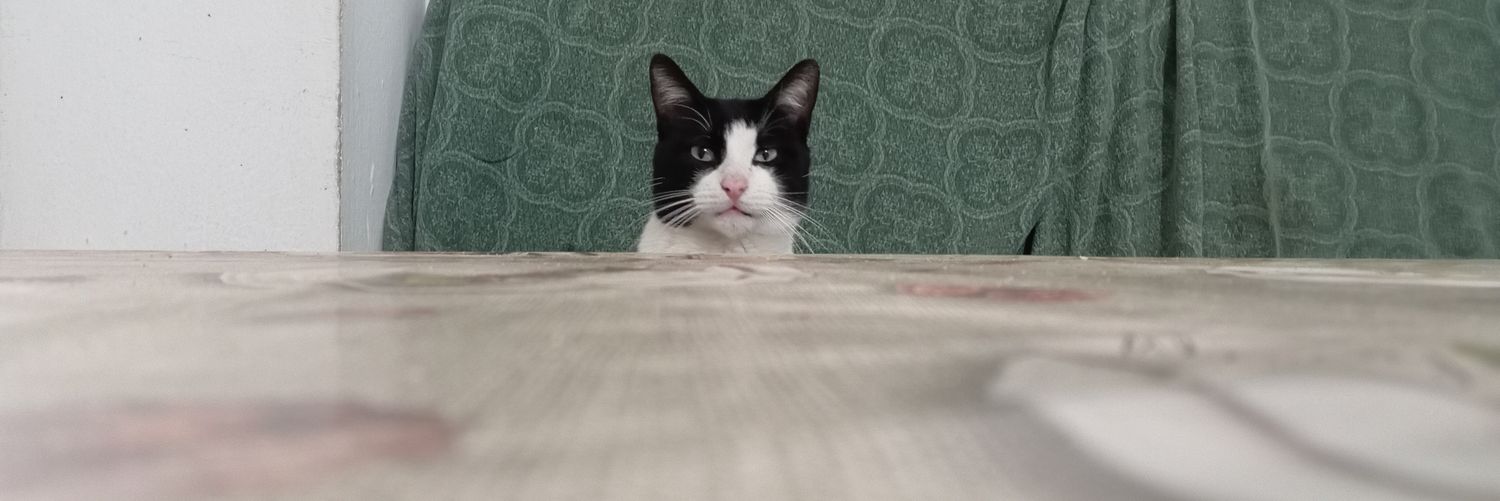 wadooo28's profile banner image