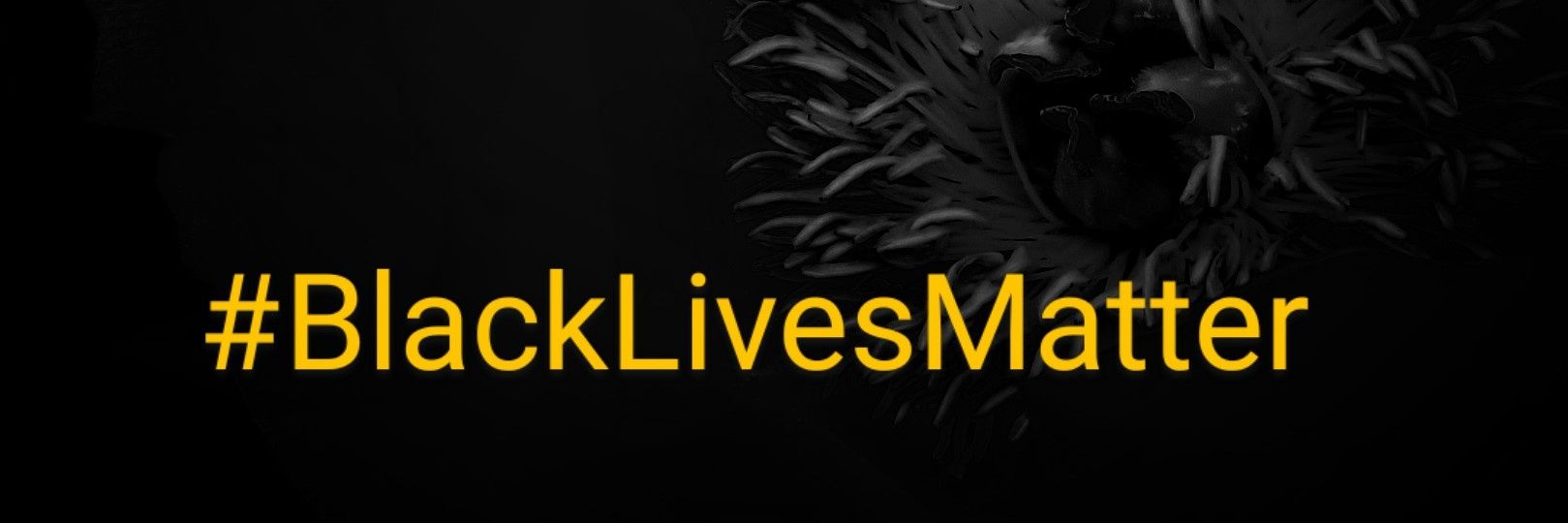 TrynaMakeaDif's profile banner image