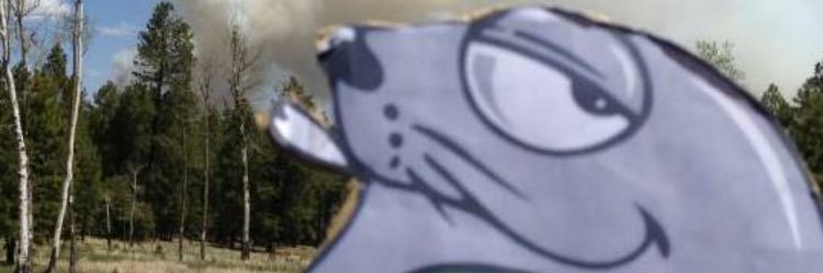 WillyLopez024's profile banner image