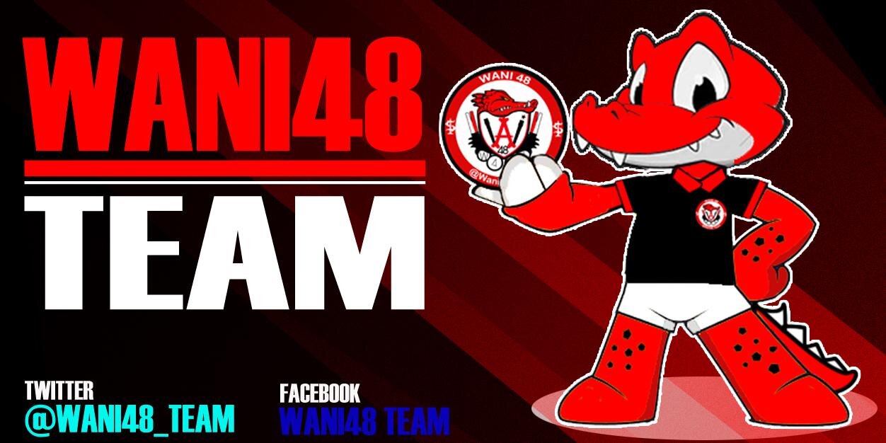 UsagiNation banner