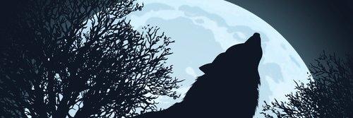 art3413's profile banner image
