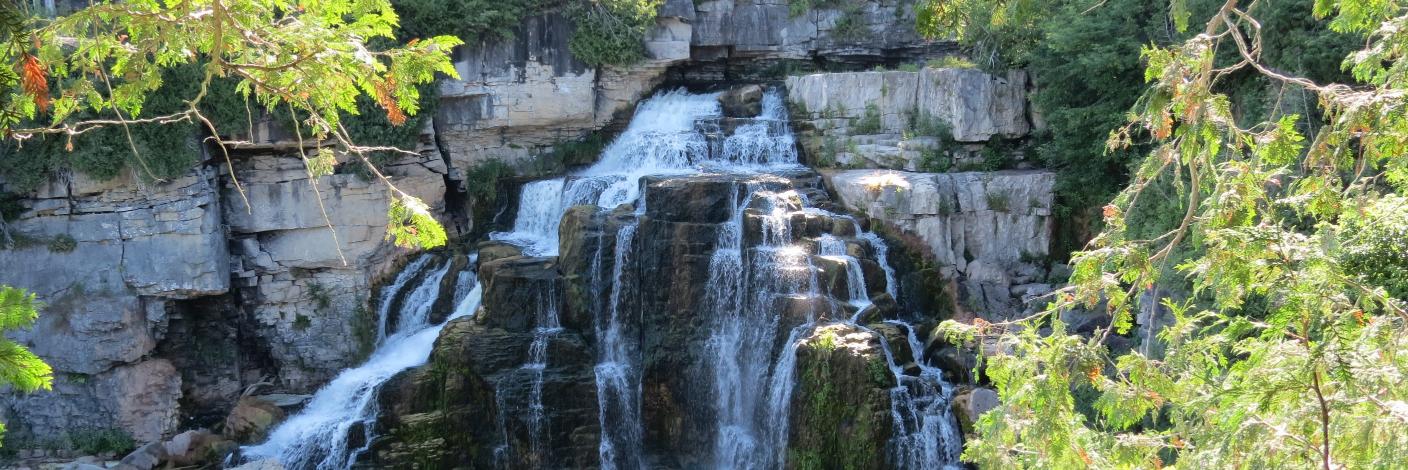 Grey Sauble CA banner