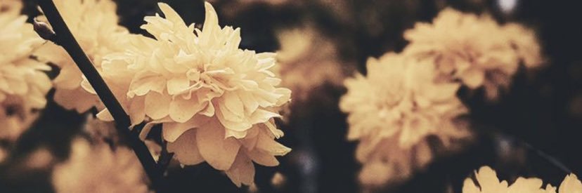 kaitlynnnn02's profile banner image