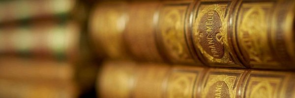 d_roulland Profile Banner