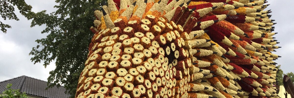 JorisVerdonck's profile banner image