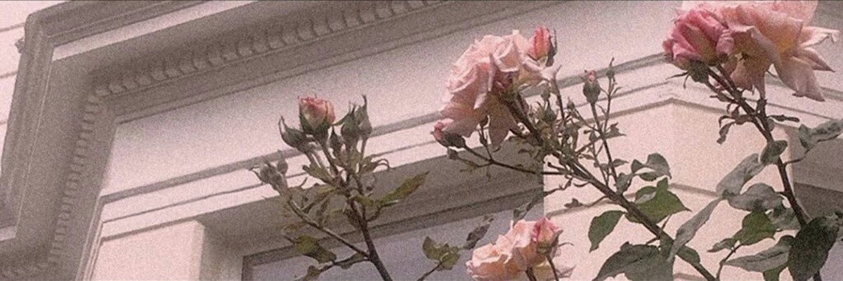 joeg49's profile banner image