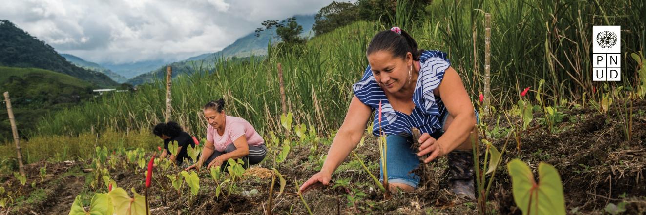 Jessica Faieta banner