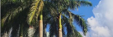 KaylahFanelli_'s profile banner image