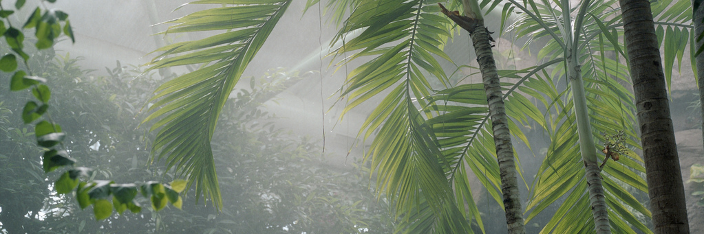 JeanBaptisteSC's profile banner image