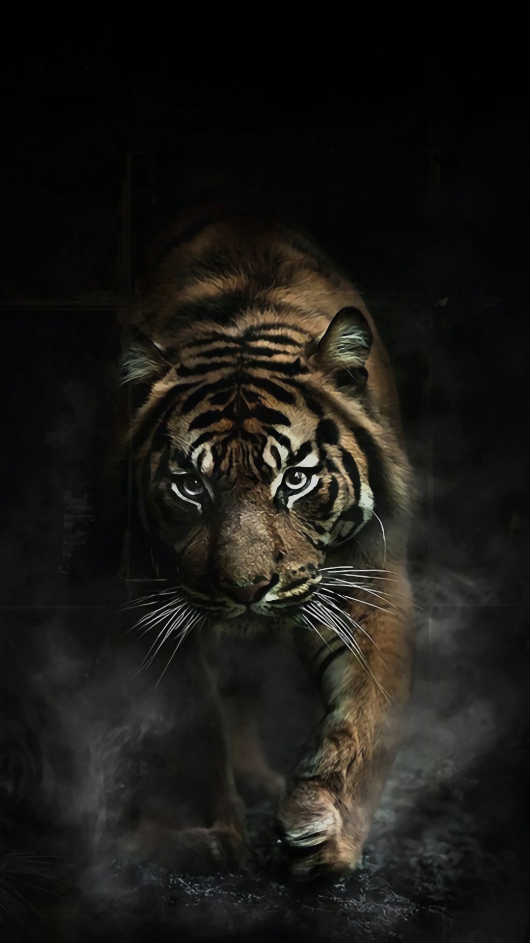 srkthekingg's profile banner image