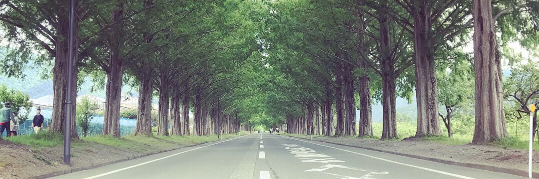 Ryota3315S's profile banner image