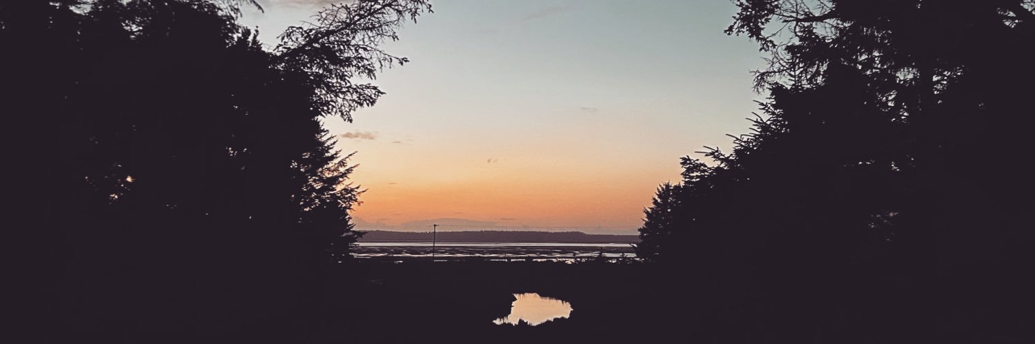 Danica (she/her) banner