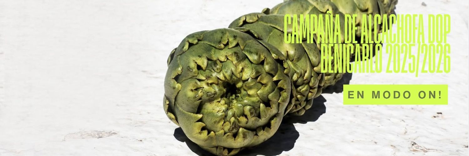 ALCACHOFABENICARLO banner