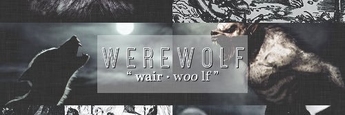 DoomsdayWolves's profile banner image
