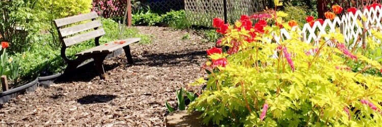 olivia_weber28's profile banner image