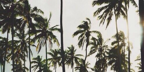 parisduarrtee's profile banner image