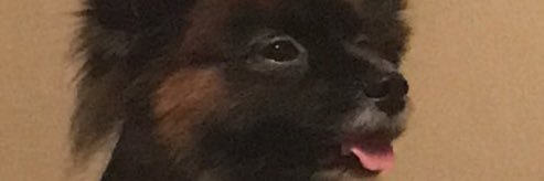 Yaba_II's profile banner image