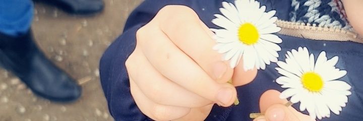 aurele35's profile banner image