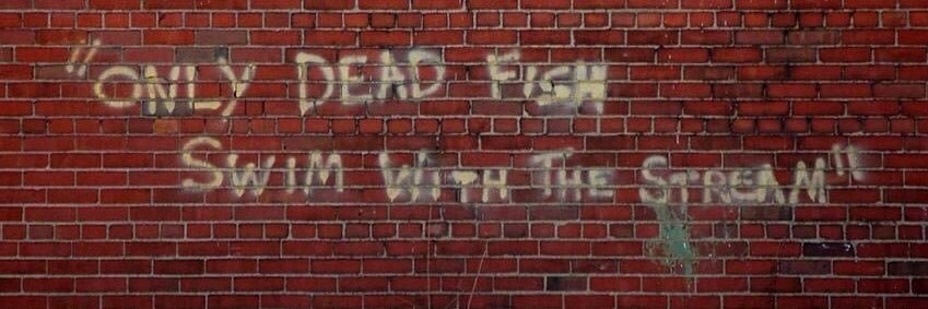 djembemaster's profile banner image