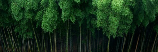 HinchTag Profile Banner