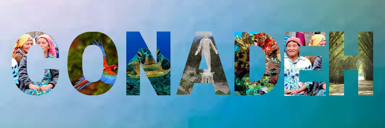 CONADEH-La Defensoría Del Pueblo banner